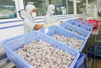 KL99 là cổng game giải trí trực tuyến hàng đầu hiện nay thủy sản chỉ chờ có “sóng”